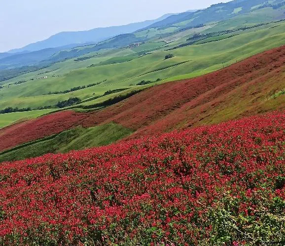 Farma La Spiga