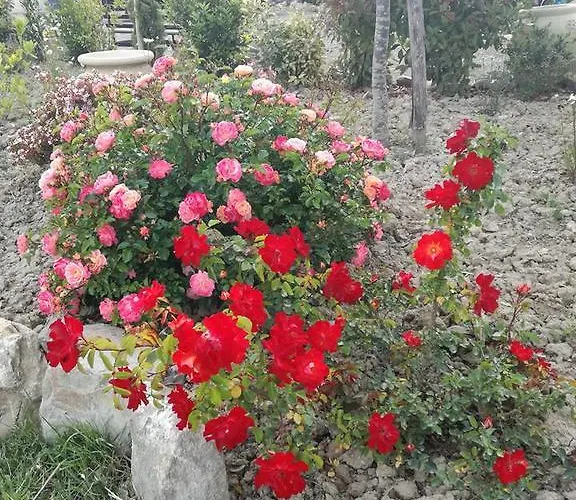 Farma La Spiga Montecatini Val di Cecina